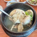 장성빌딩 | 광주 근교 맛집 장성 고려조 삼계탕 본점 복날 몸보신 메뉴 추천