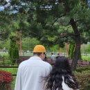 함안-3 Daum카페