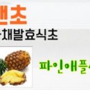 초앤초 이미지