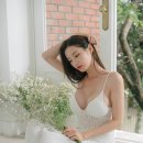 스토리이즈언더웨어