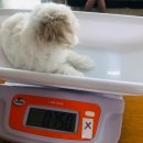 도야동물병원 이미지