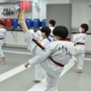 하늘빛 태권도 이미지