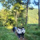 바랑재 | [숨쉼삶] 쉼 2회기_돌봄, 쉼표 캠프 in 바랑재 *평창군 CareGiver의 소진 예방을 위한 내면회복 및 성장...