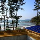 곰섬올레 이미지