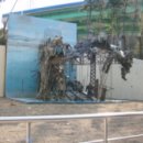 성산초교 이미지