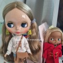 네오멤버스 이미지