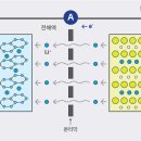 M.S전자 이미지