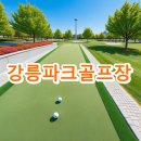 강릉파크골프장 | 강릉파크골프장 요금 운영시간 전화번호