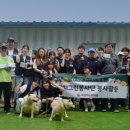 녹십자수의약품 주식회사 | [메디컬경제]녹십자수의약품, 유기동물 산책봉사로 따뜻한 발걸음 내디뎌