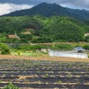 적상면010 이미지