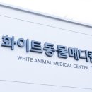 화이트동물메디컬센터 네이버블로그