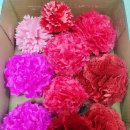 삼경요양병원 이미지