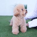 미스터브리더 이미지