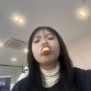 용원의료기