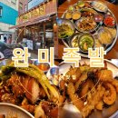 논현1-118 | 신논현역 맛집 완미족발 논현본점 온족 + 벌집껍데기 족발맛집 후기