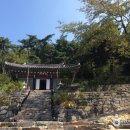 부여양송이마을 이미지