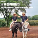 밭디이색자전거