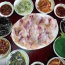 히트피싱민박 이미지