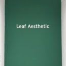 리프에스테틱