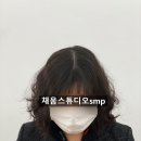 채움스튜디오smp 이미지