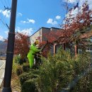 금광파출소 이미지