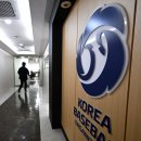 (주)플레이볼 스포탈코리아