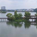 동탄호수공원 이미지