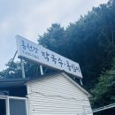 홍천강 | [홍천] 홍천 현지인 맛집, ‘홍천강 막국수·옹심이’🥢 솔직 후기