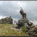 영락농원 -10 이미지