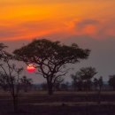 에스엘(SL) 이미지