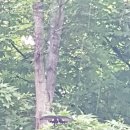 이제 부산 이미지