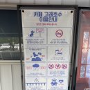 빵고래케익고래 | [원주 흥업면] 호수뷰를 볼 수 있는 대형카페 ‘카페 고래호수’ 방문 후기