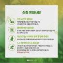 양옥집 - 달서구 | 양옥집