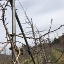 명선농장 이미지