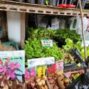 제일종묘농약사 이미지