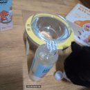 댕댕CLUB | 정글몬스터 덴탈워터 고양이 마시는 뿌리는 치약 칫솔 s 웰컴키트 세트