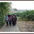 영남대로 이미지