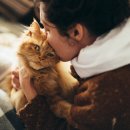 안심동물병원 이미지