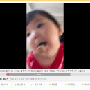 필메이커 돌잔치 셀프 성장 영상 제작 너의 의미 내 돈 내산 후기