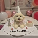 뽀야 | [내돈내산] 애견펜션 양평 아우스플럭 독채 풀빌라 솔직 후기 ! / 미니비숑 뽀야의 한살파티 ૮ ˶ˆ꒳ˆ˵ ა