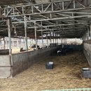 덕암목장 이미지