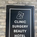 조원 동물병원 이미지