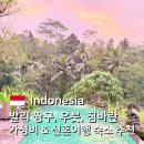 신 짱구 | 발리 숙소 추천 총정리 | 짱구, 우붓, 짐바란 가성비 숙소부터 신혼여행 리조트 솔직 후기