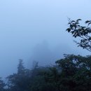 꽃지다은 이미지