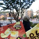(주)새람 이미지