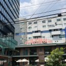 코끼리베이글성수 | 국내 3대 베이글 맛집 성수 코끼리베이글 방문 후기 추천메뉴!