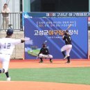 고성군 야구장 이미지