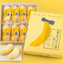 수영전자 이미지