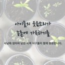 강화농업경영인 | 농업인 육아휴직시 월 최대 70만원 지원받나? 2026 현황 총정리