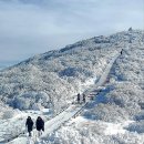 구례지리산 노고단 정상 일출 성삼재 휴게소에서 시작 이미지